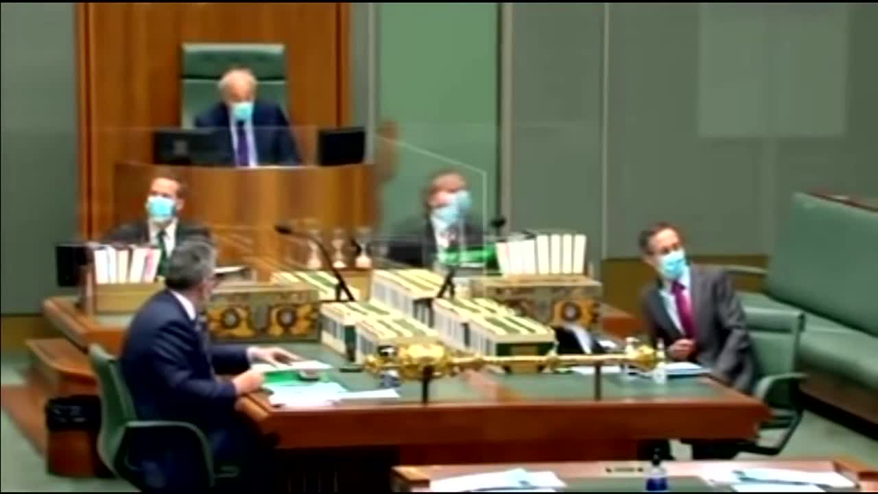 Disgrace In The Australia Parliament ( Ivermectin )