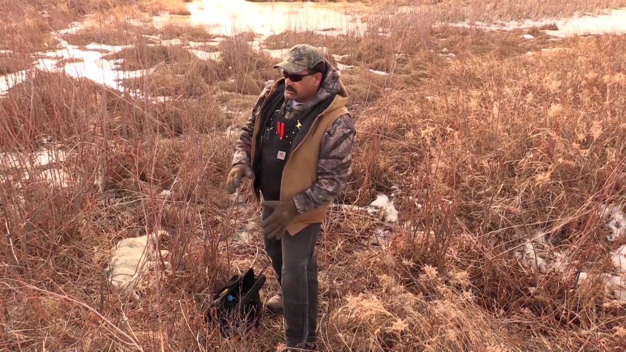 Trapping Inc Season 2 Episode 10 Coyotes!