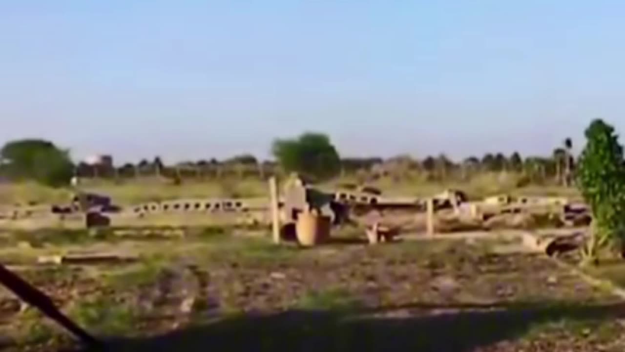 Program toh war gaya viral video