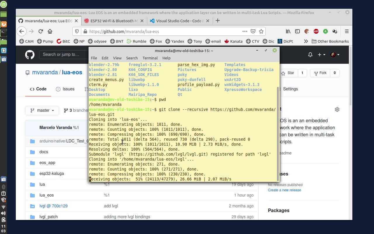 Lua EOS - Linux Setup for Simulator