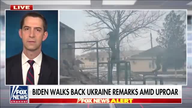Sen. Cotton: Our adversaries are taking advantage of us at every turn