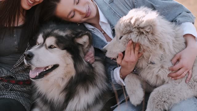 The most beautiful dog in the world and loves to play with cute girls