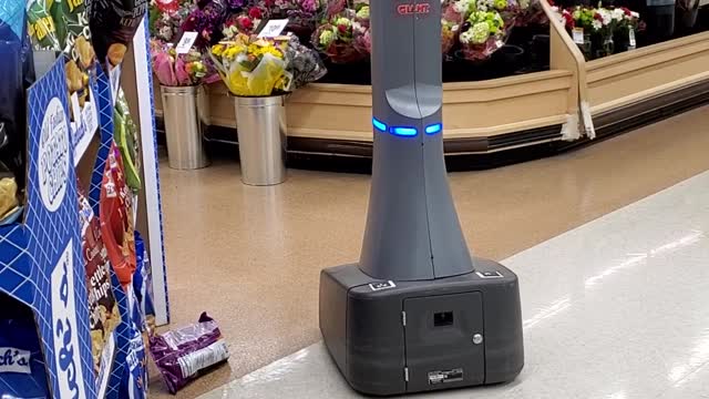 Inventory Scanner Robot