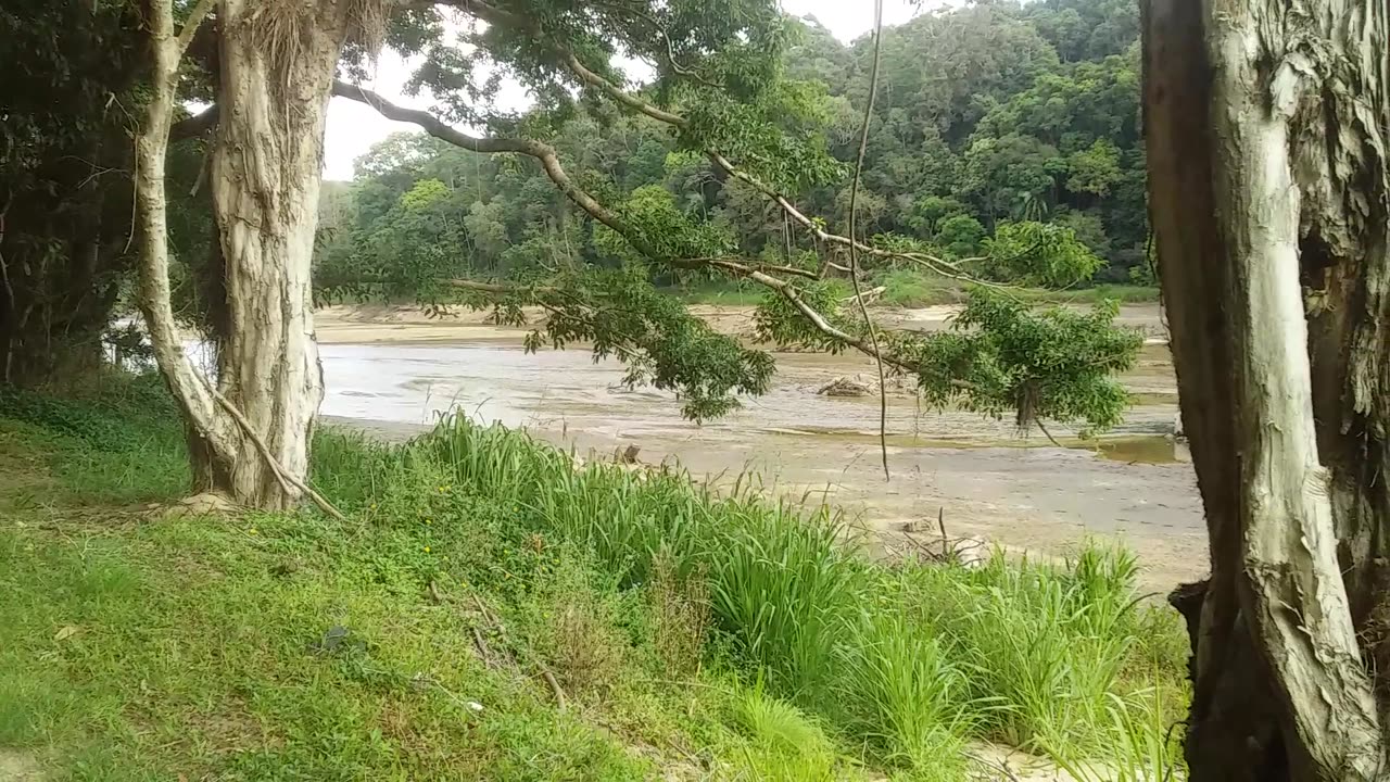 31.10.2024 The Barron River, Kuranda (3)