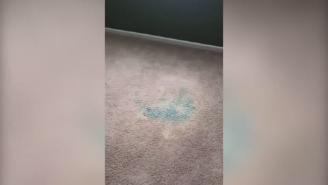 These Carpet Repairs Are So Satisfying