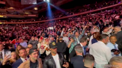 Trump Enters UFC 295 Like a Boss