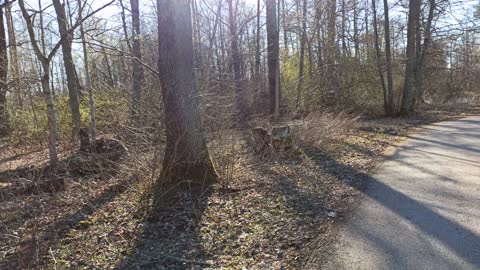 Hanna och Jimmy på promenad mot Karlslund. Del 2