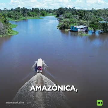 Mosquitos en Latinoamérica portan un virus poco conocido sin cura.