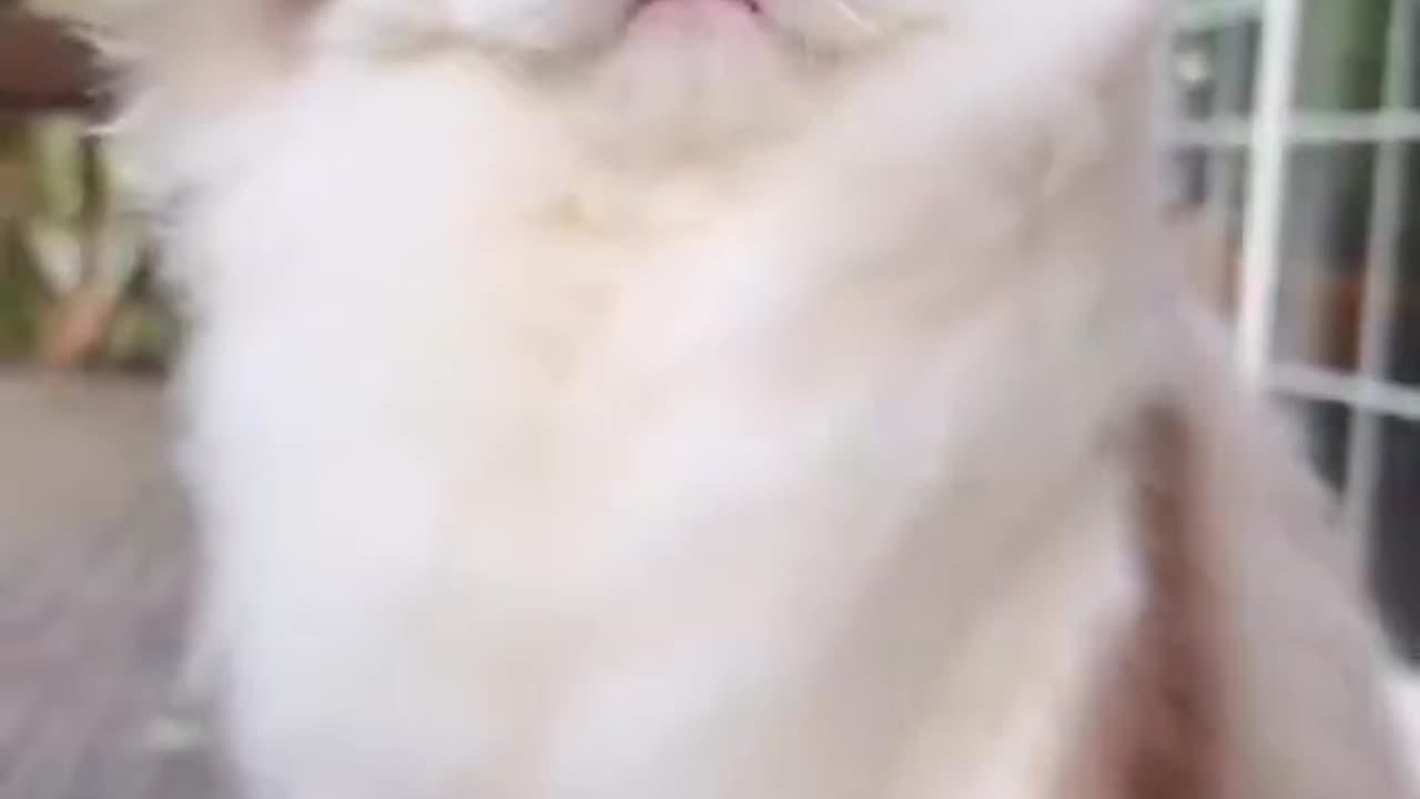 Catch the day 🤪 😎 😌 😜 and ☺ ❤ 😌 and the rest