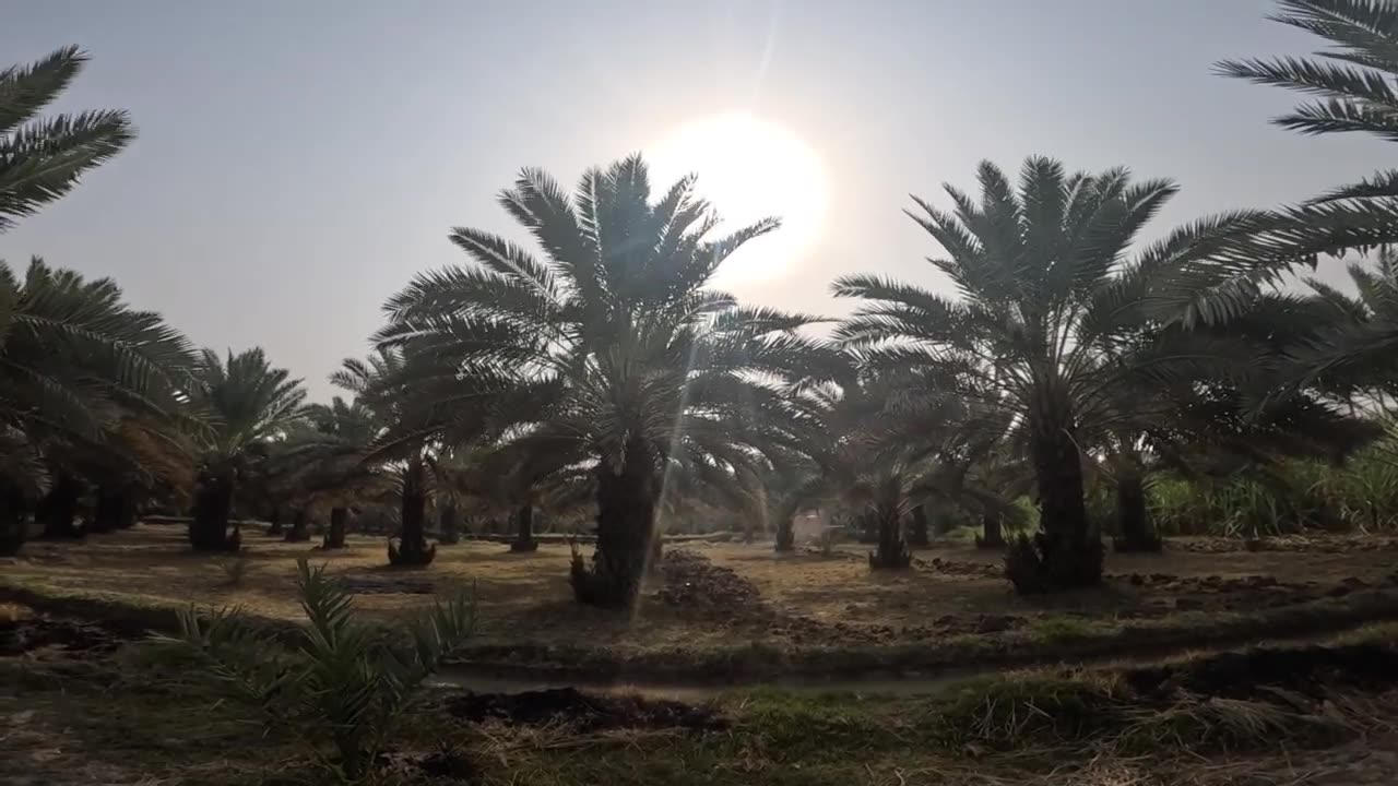 Villager Walks Alone in His Village