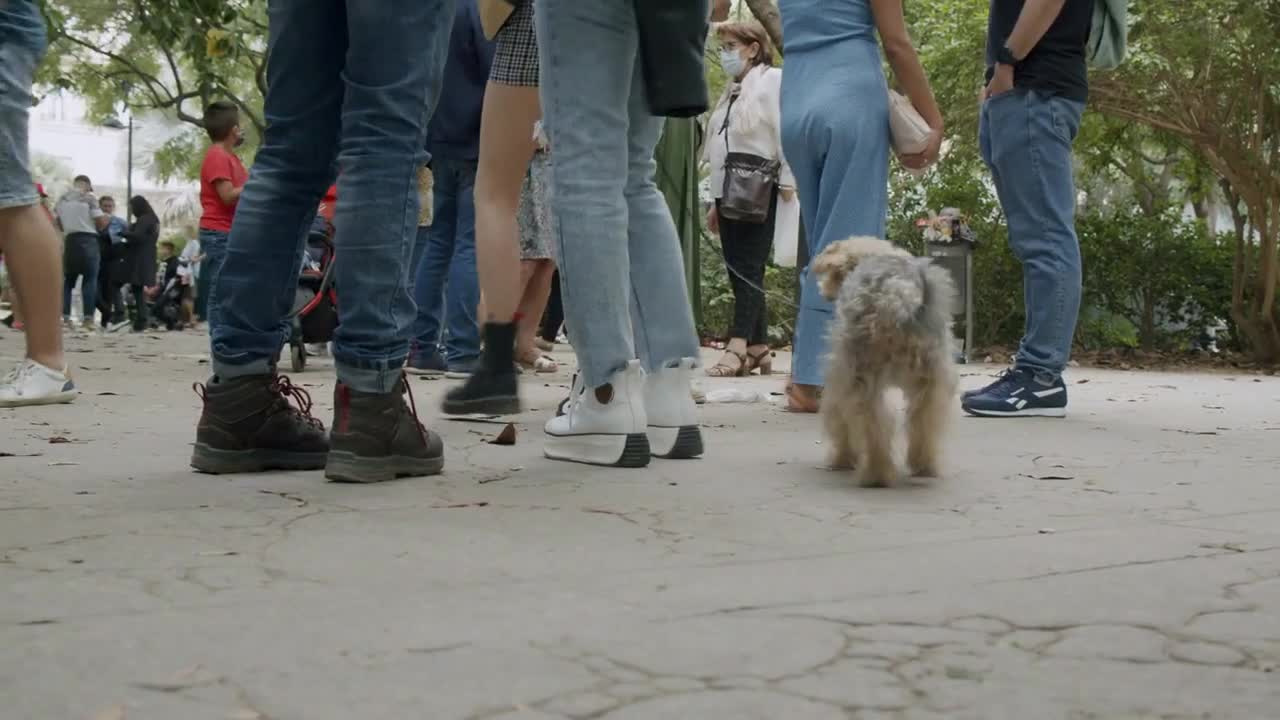 On a holiday in the park with a dog