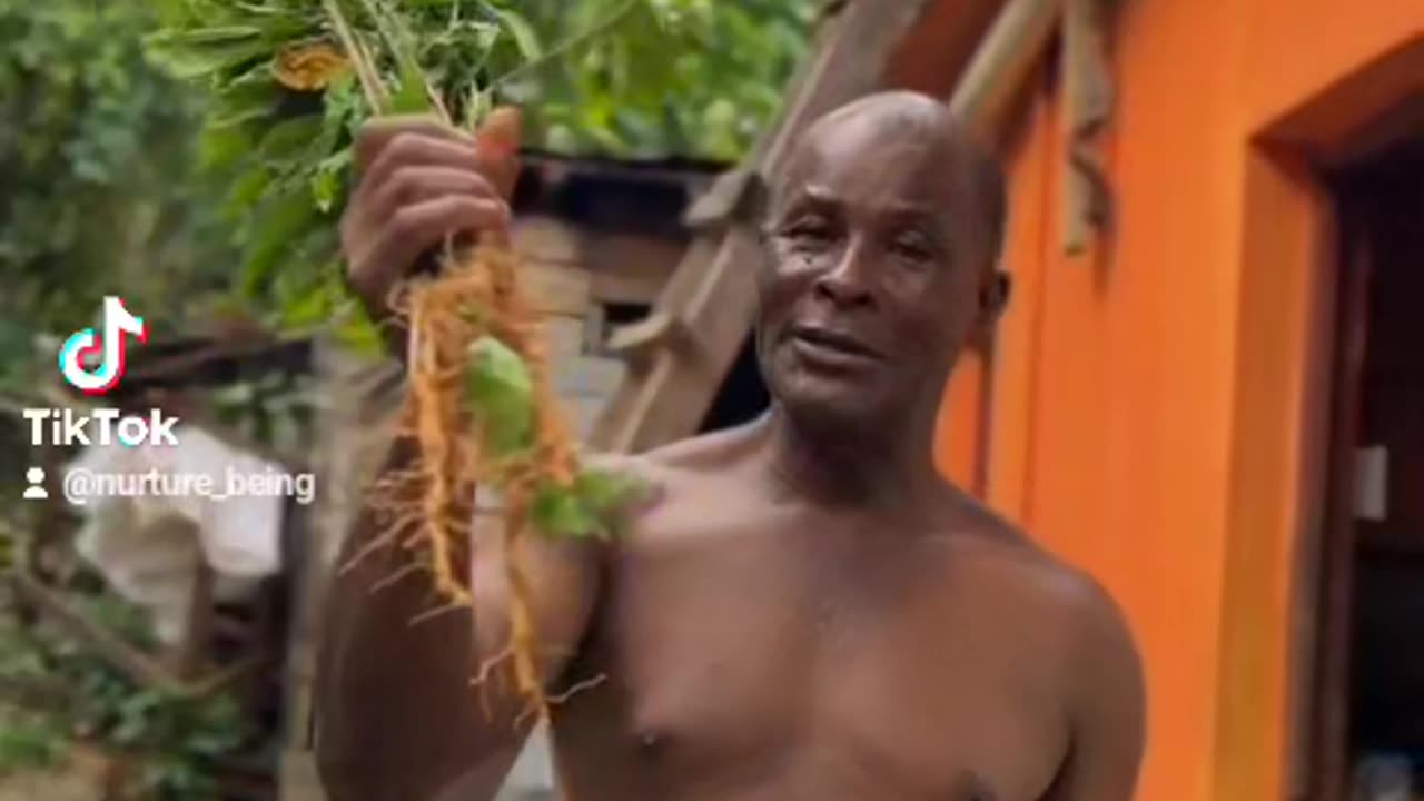 The World's Best Herb: Jamaica's Natural Treasure