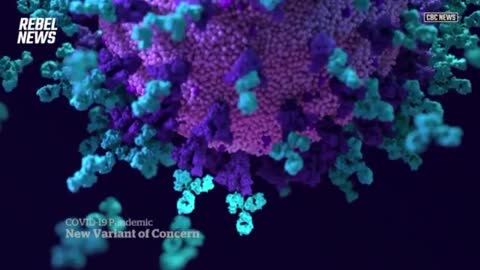 Dr. Peter McCullough on covid virus
