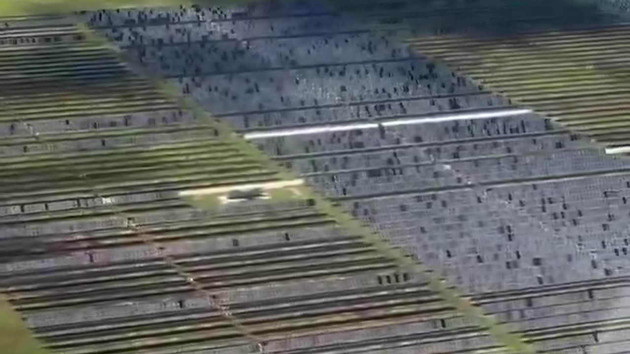 Glorious Green Mirage of Corporate Eco-Snatching