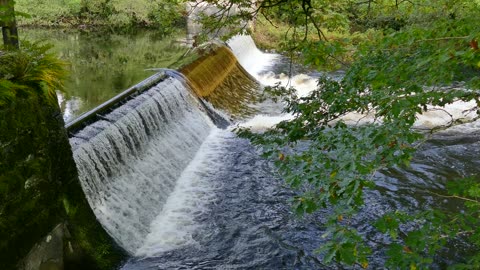 Beautiful Waterfall In The Jungle- I Bet Yd Love It