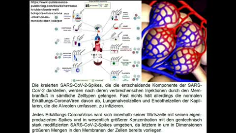 Die Systematik der Impfdurchbrüche