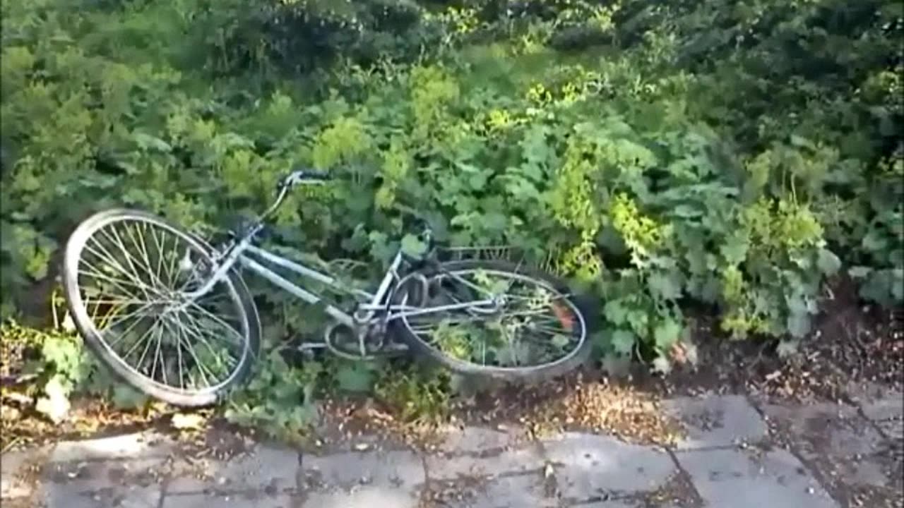 Helsingborg 10 Juli 2011