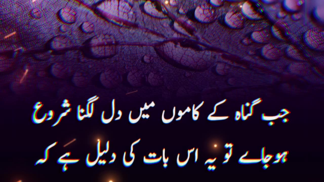 Best urdu Quotes