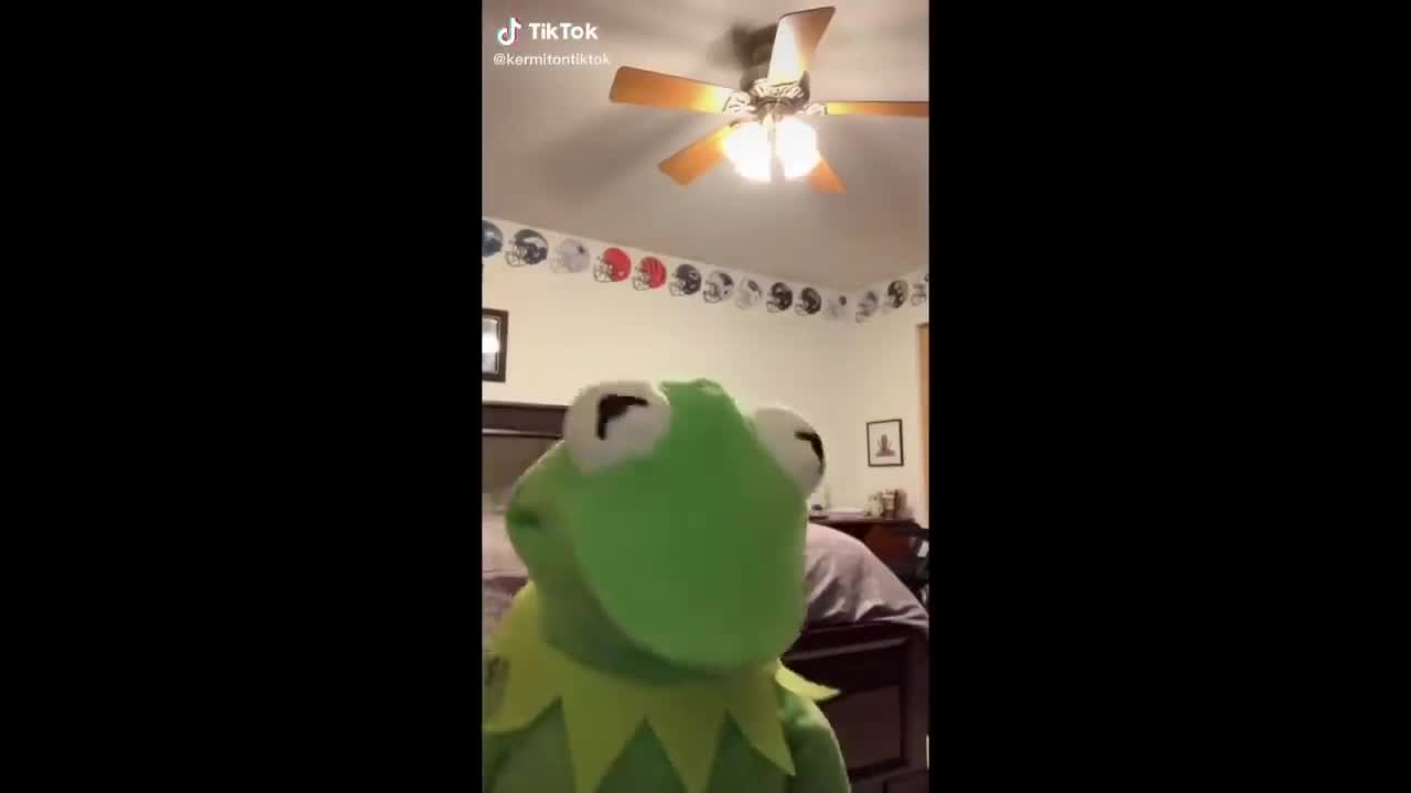 Kermit Reaction Vidz