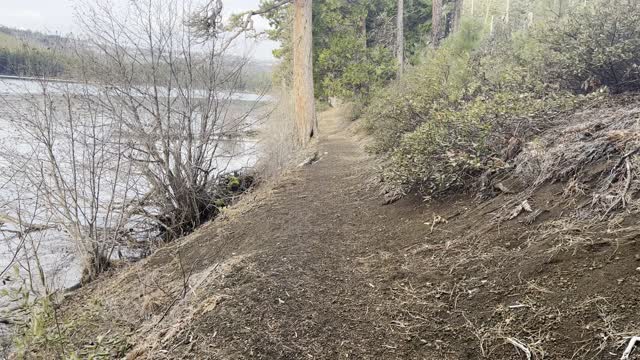 Shoreline Exploring – Suttle Lake – Central Oregon – 4K