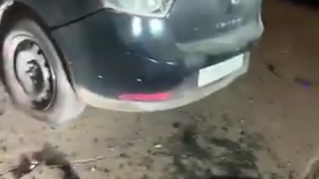 Five terrorists were eliminated