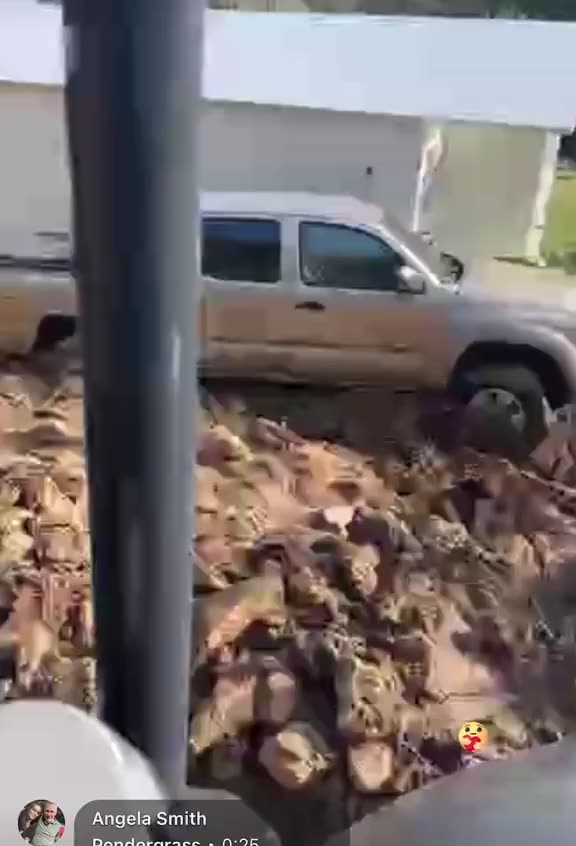 FEMA, the government is your ENEMY