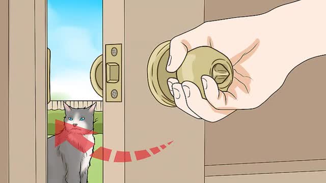 How to calm a cat that is in heat