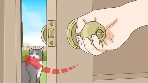 How to calm a cat that is in heat