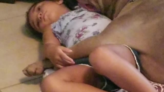 American Bully preciously cuddles little girl