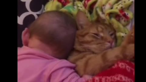 A child embraces his cat with all beauty