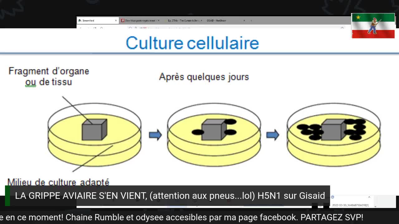 Live 103: Elon Musk, Twitter et quelques clarifications sur la grippe aviaire (H5N1) avec GISAID