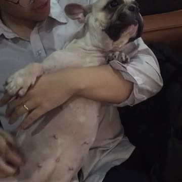 When Alice meets a dear friend | my alice