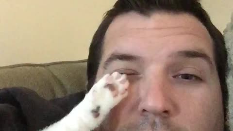 White cat playing with guys eyelashes