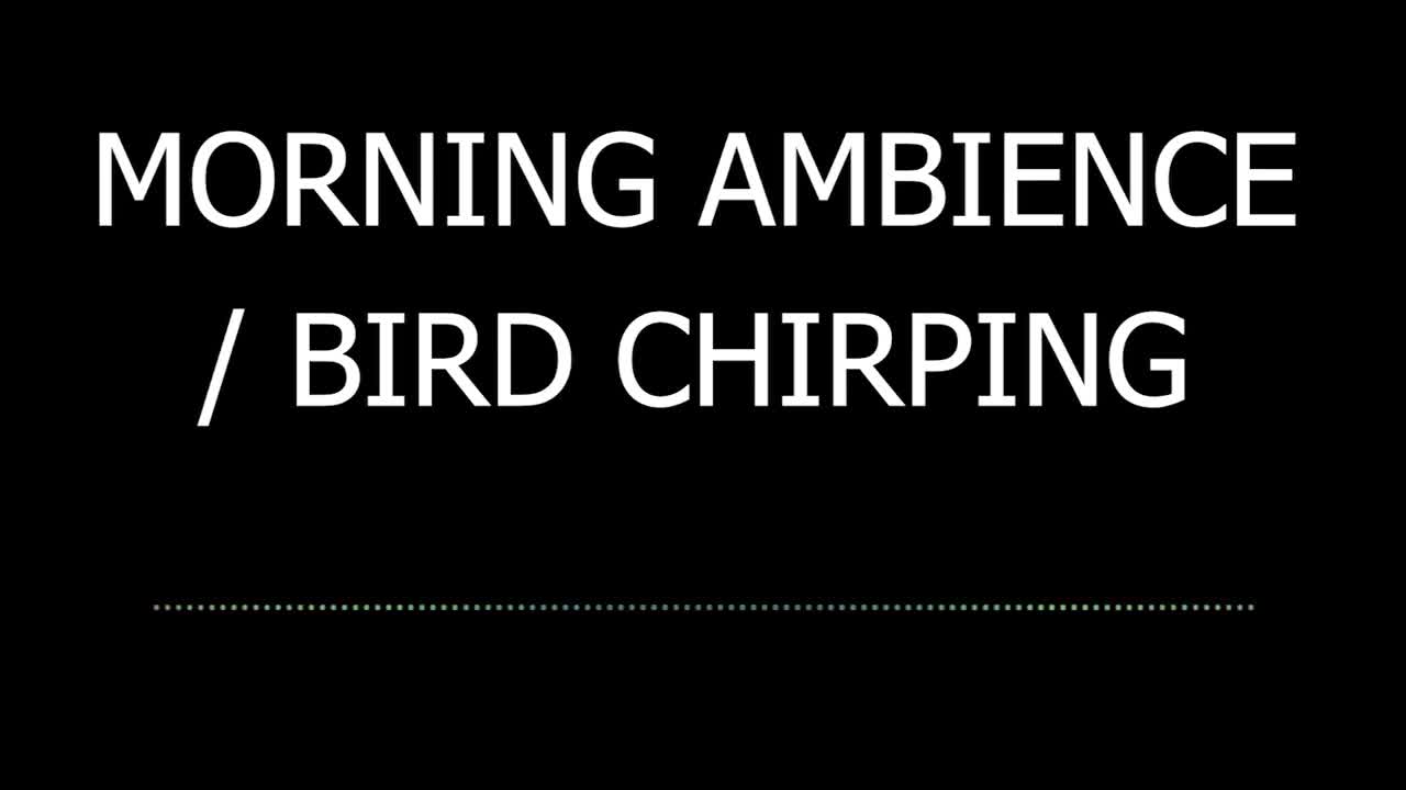 morning ambiance sound effects copyright free