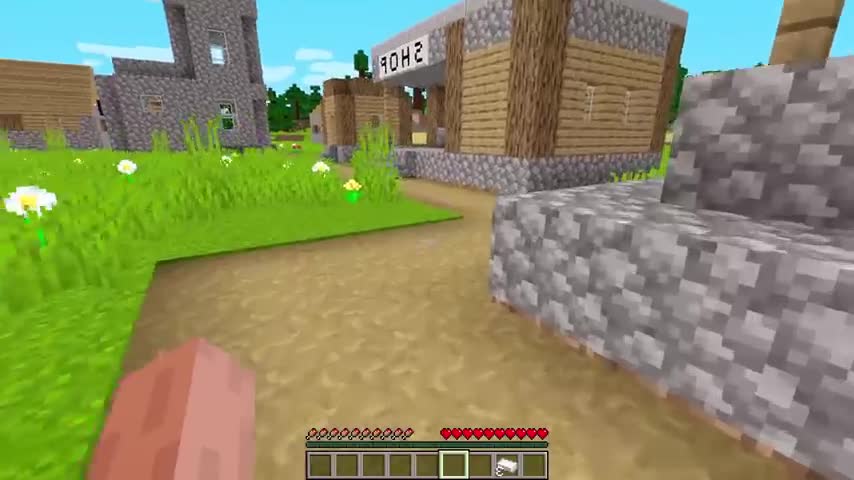 Video/HOW THE MUTANT ZOMBIE ATTACKED THIS VILLAGE IN MINECRAFT Inventory Noob vs Pro(480P).mp4