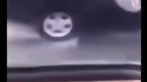 Every Bus Driver's Dream