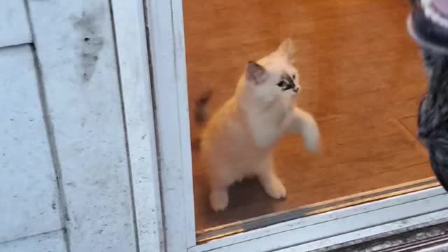 Let me out!