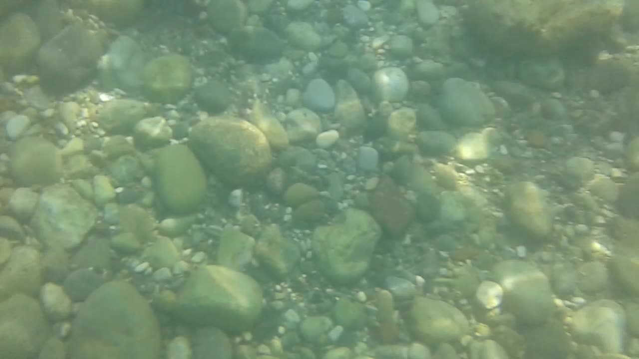 Shooting with your phone underwater Съемка на телефон под водой