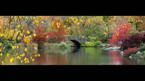 Gong Echoes: Pathways to Peace