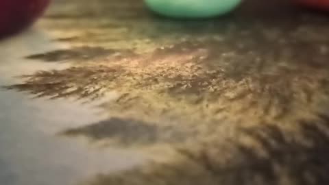 Uppenbarelseboken 21-22