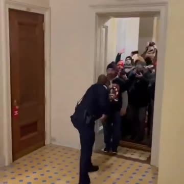 Capitol Hill Police Officer Contends With A Mob Near The House Chambers | The Washington Pundit