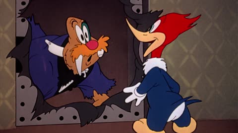 Walter Lantz's Woody Woodpecker Cartoons 13