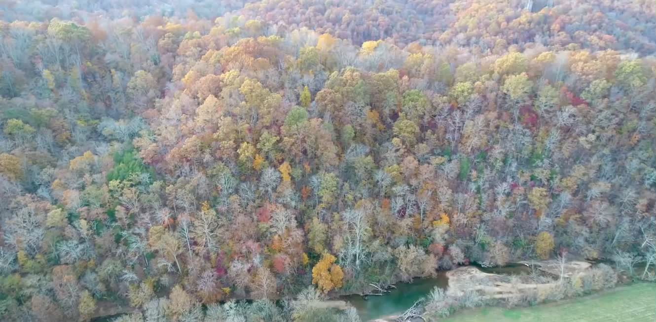 Natchez Trace Bridge