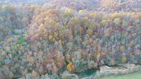 Natchez Trace Bridge