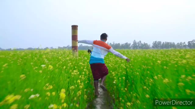 Very interesting funny video don't miss to watch