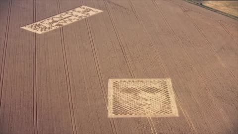 Warnings in the Wheat: Are We Being Contacted by Aliens?