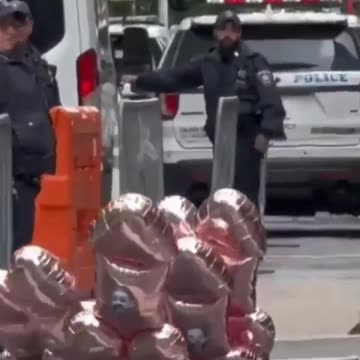 🚨Pink Penis Balloons