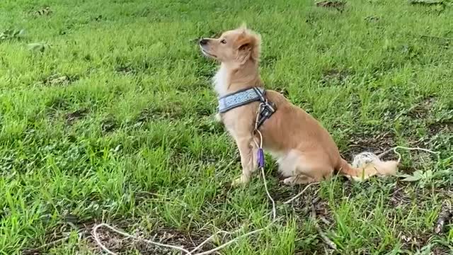 Charlie’s instinct