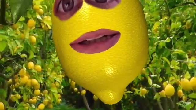 I AM A LEMON