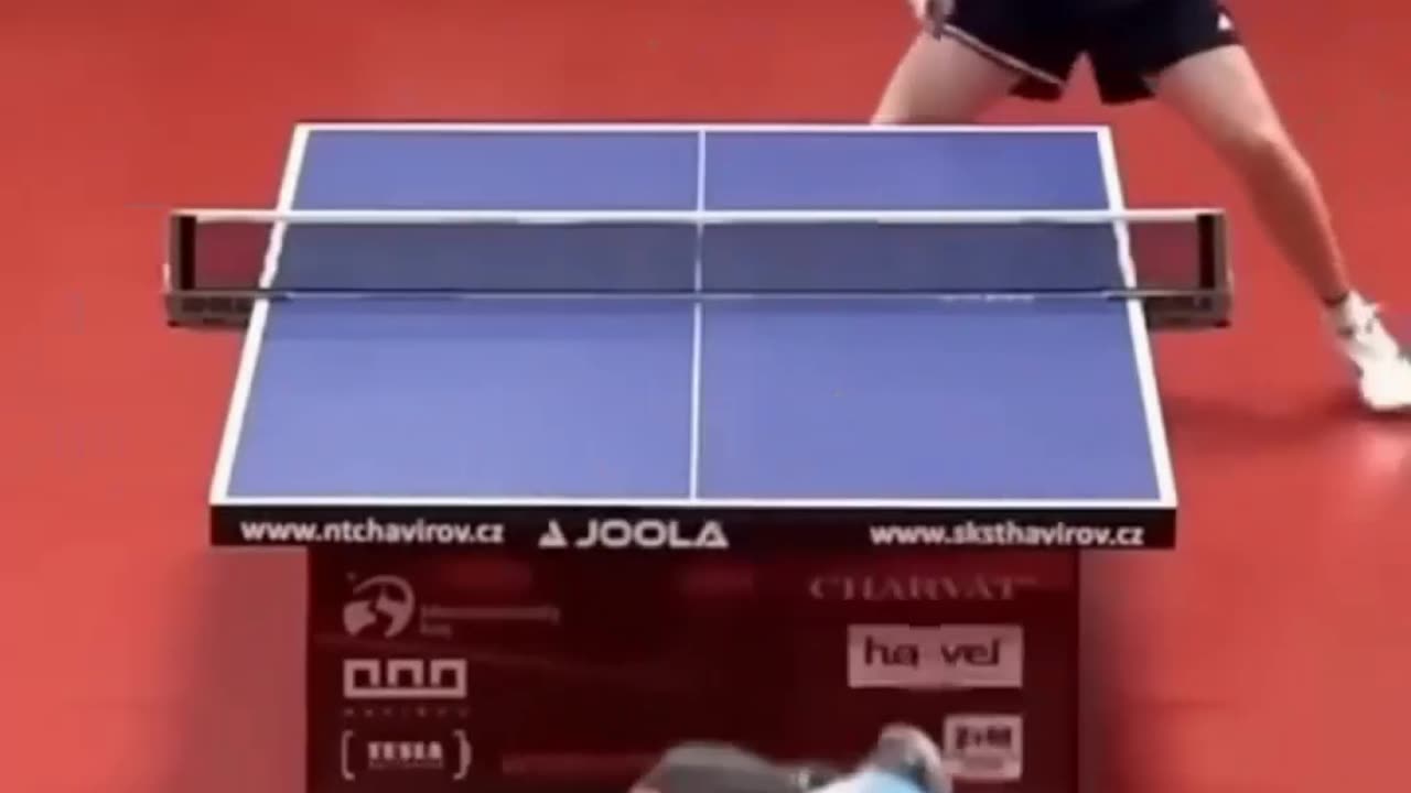 Amazing Pingpong Robots